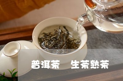 普洱茶 生茶熟茶/2023041324037